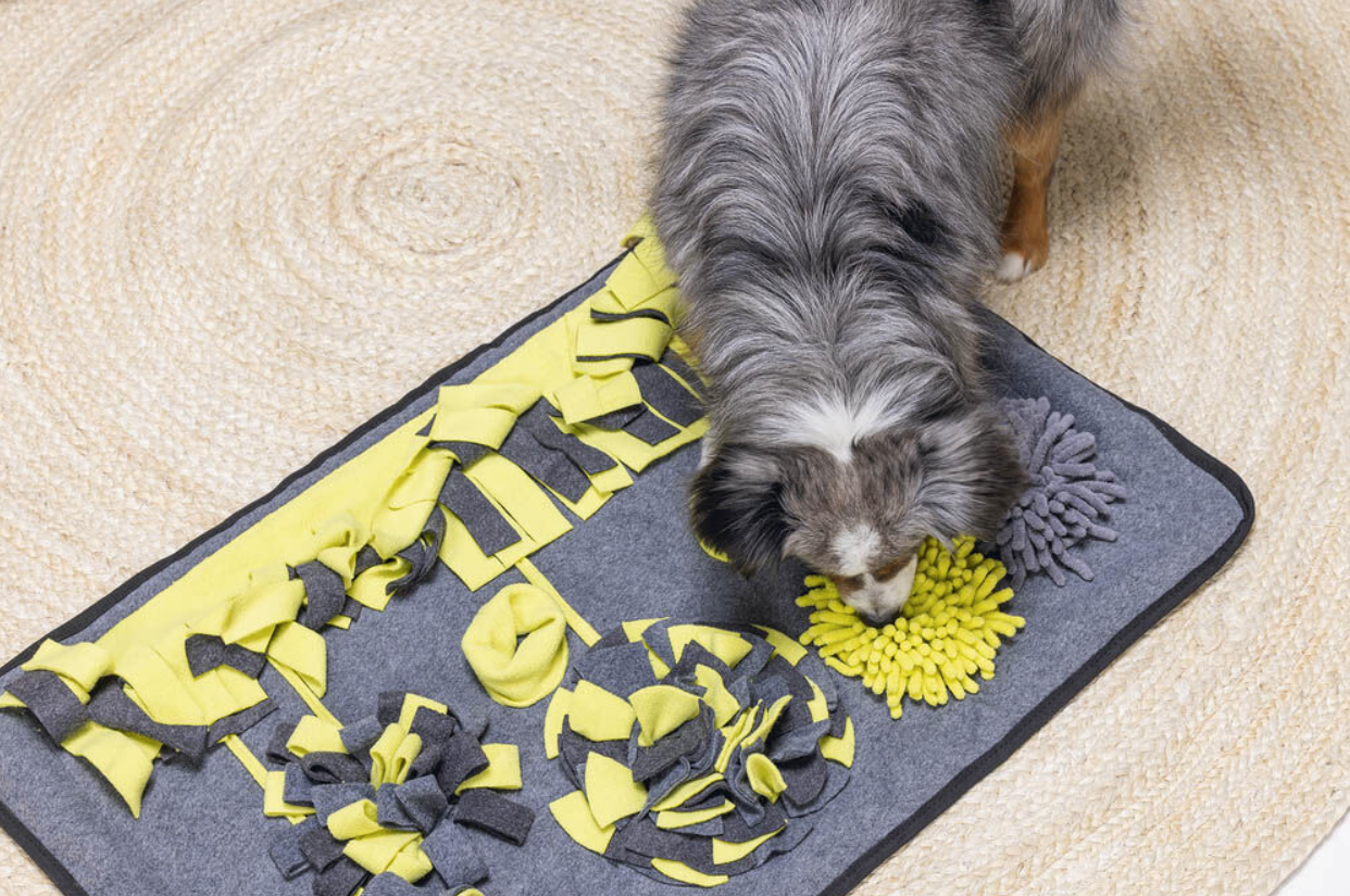 hond en snuffelmat
